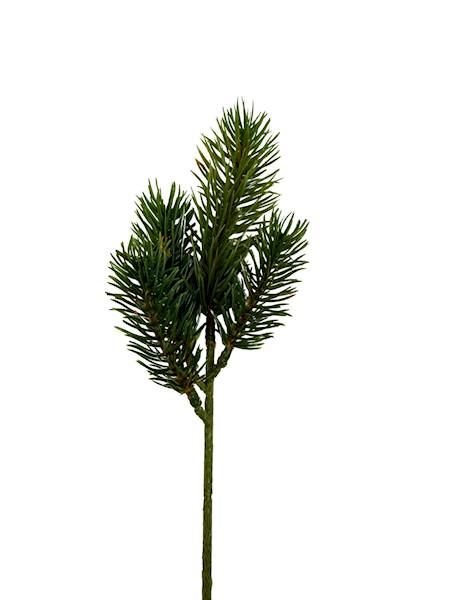 Jodła gałązka 28 cm