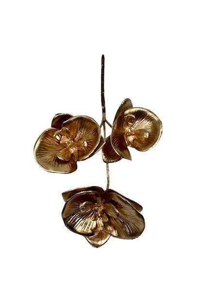 Storczyk złoty gałązka 23 cm 