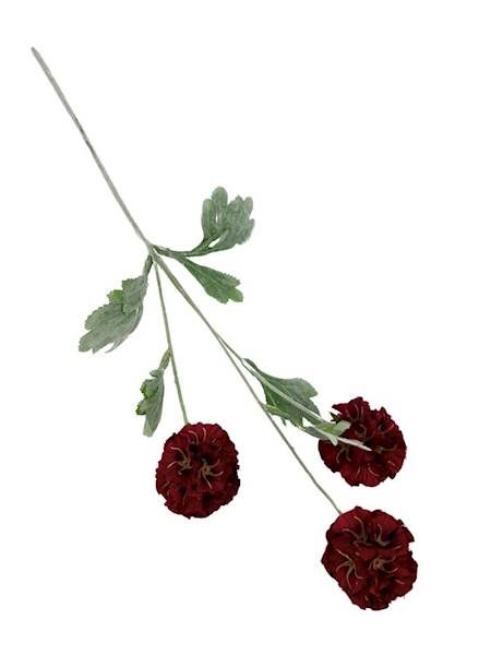 SKABIOZA 3 KWIATY 68 CM CZERWONA