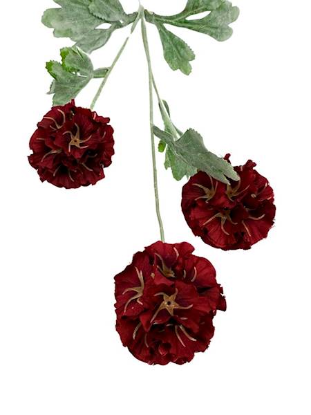 SKABIOZA 3 KWIATY 68 CM CZERWONA