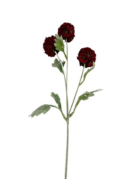 SKABIOZA 3 KWIATY 68 CM CZERWONA