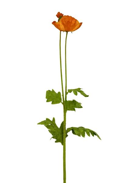 Mak gałązka 105 cm jasny pomarańcz