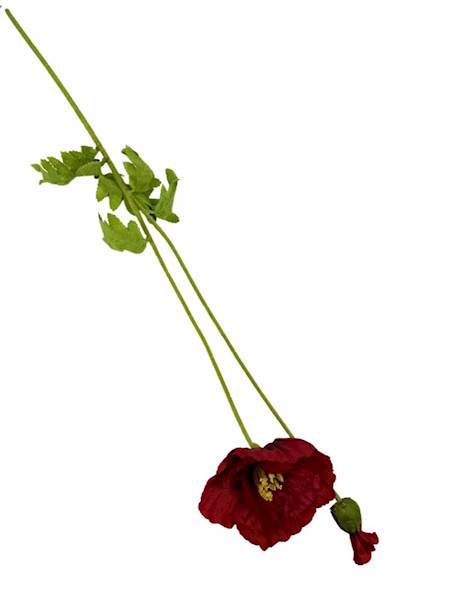 Mak gałązka 105 cm czerwony