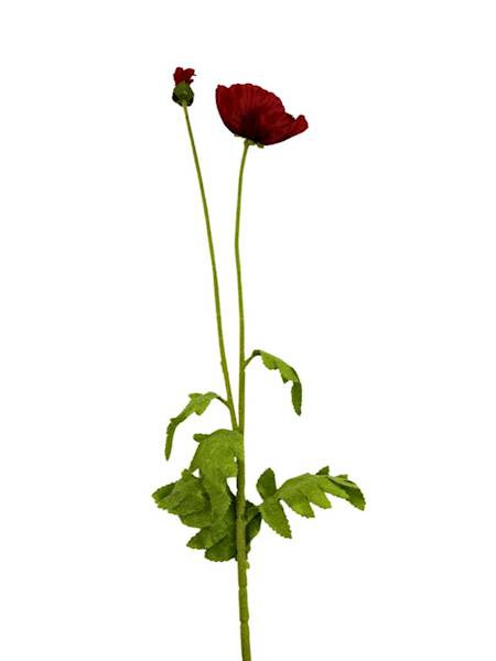 Mak gałązka 105 cm czerwony
