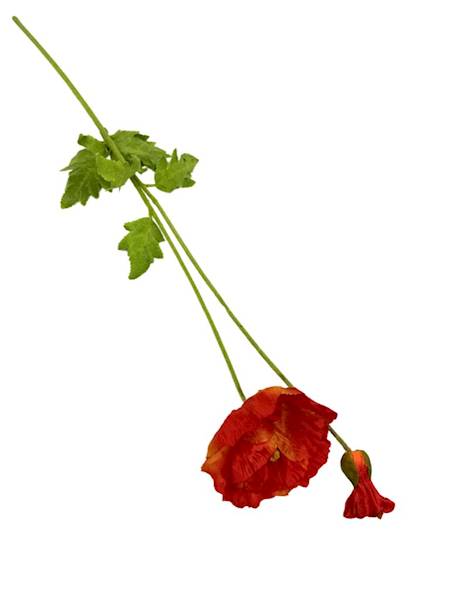Mak gałązka 105 cm pomarańczowy
