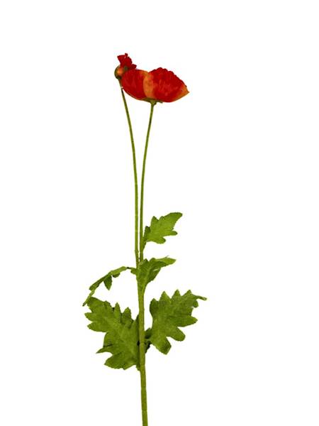 Mak gałązka 105 cm pomarańczowy