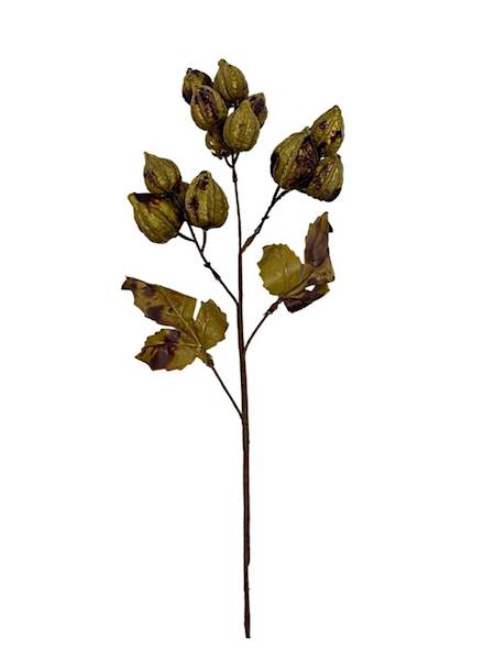 Miechunka gałązka 50 cm oliwkowa