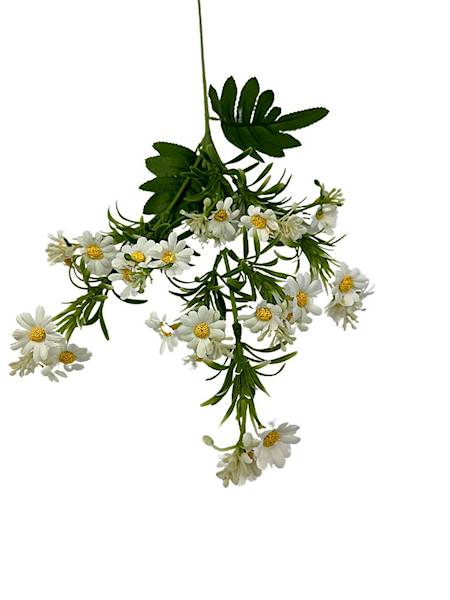 Rumiank margaretkii gałązka 70 cm białe