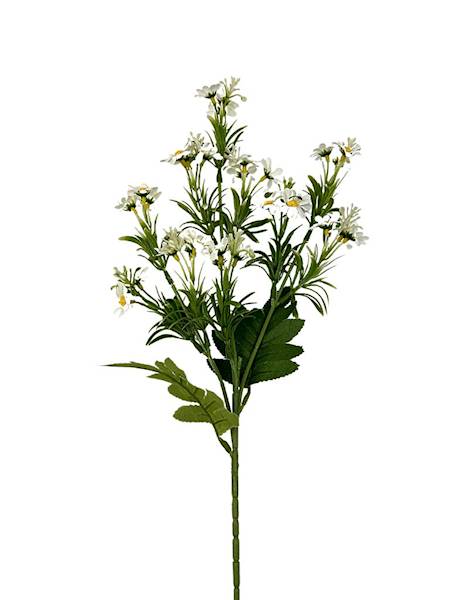 Rumiank margaretkii gałązka 70 cm białe