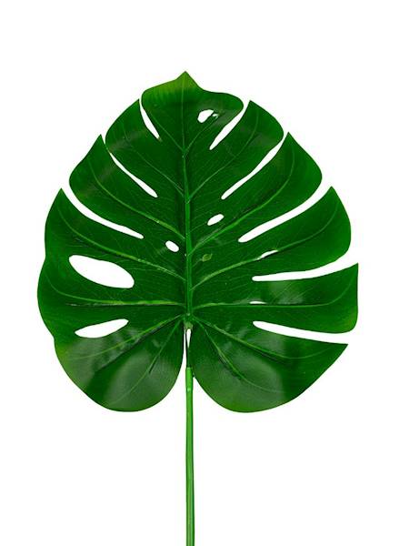 Liść monstery XL 72 cm zielony