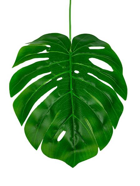 Liść monstery XL 72 cm zielony