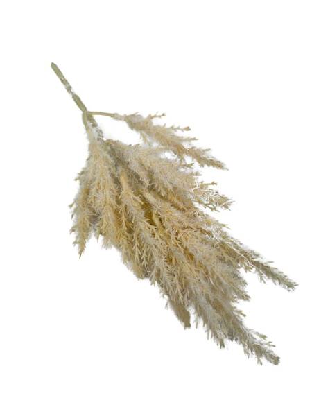 Trawa suszona gałązka sztuczna 28 cm kremowa