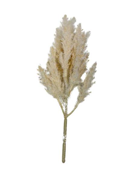 Trawa suszona gałązka sztuczna 28 cm kremowa