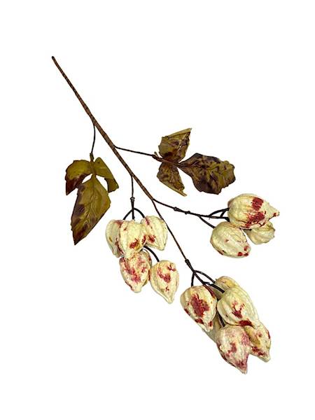 Miechunka gałązka 50 cm kremowo czerwona