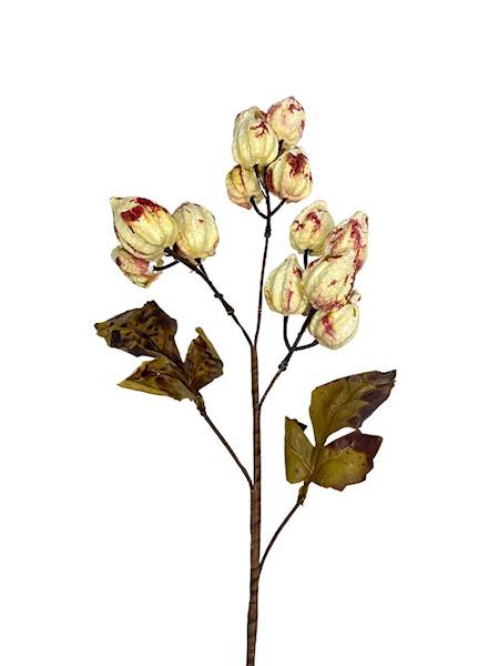 Miechunka gałązka 50 cm kremowo czerwona