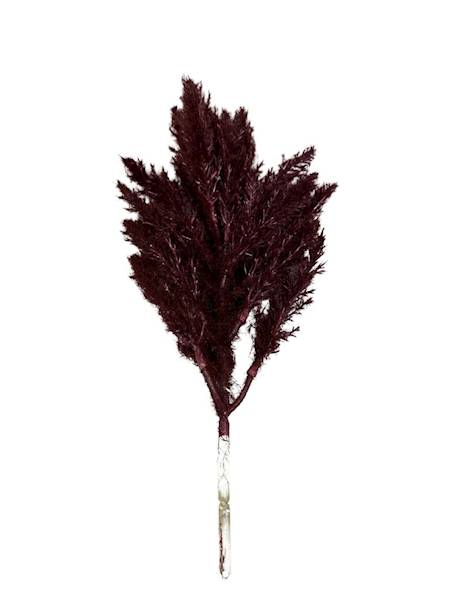 Trawa suszona gałązka sztuczna 33 cm bordo
