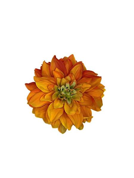 Dalia główka 15 cm pomarańczowa