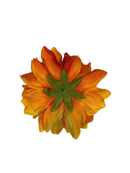Dalia główka 15 cm pomarańczowa
