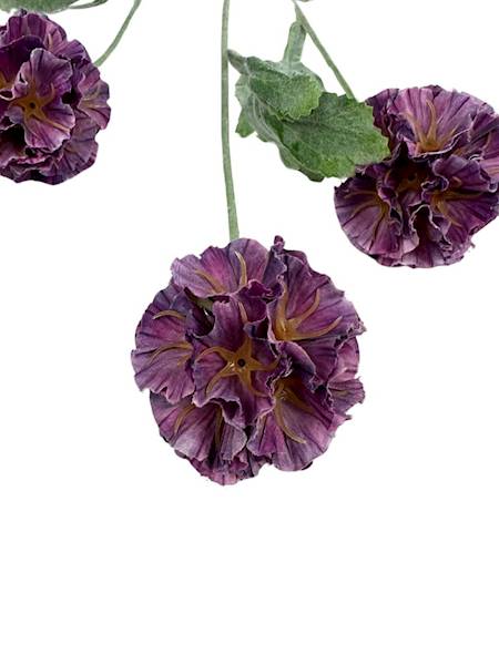 SKABIOZA 3 KWIATY 68 CM RÓŻOWA