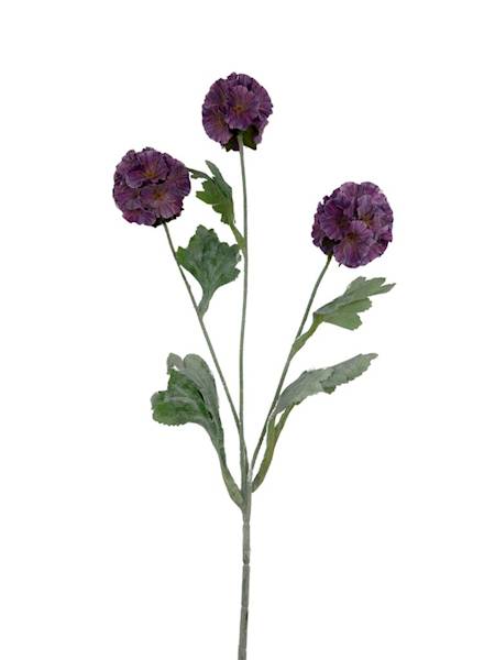 SKABIOZA 3 KWIATY 68 CM RÓŻOWA