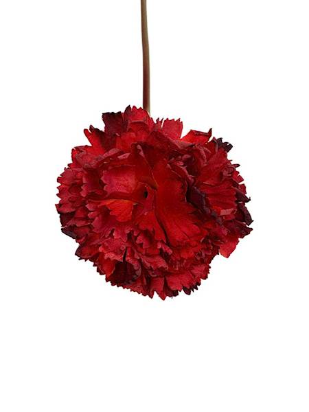 Goździk gałązka 31 cm czerwony