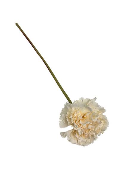 Goździk gałązka 31 cm beż