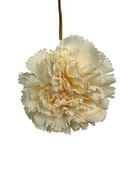 Goździk gałązka 31 cm beż