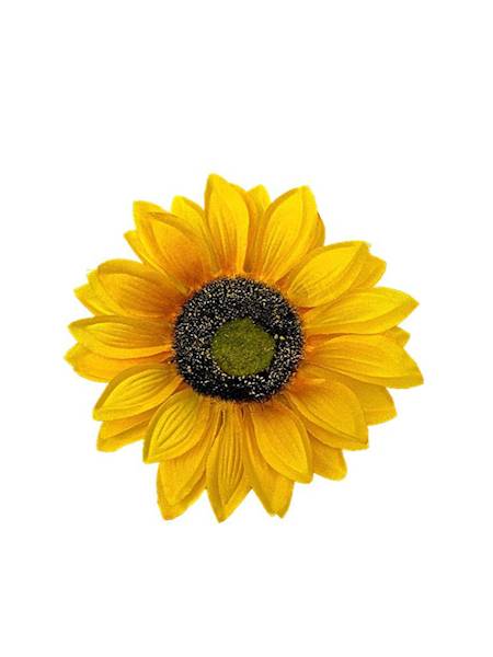 Słonecznik główka 13 cm żółta
