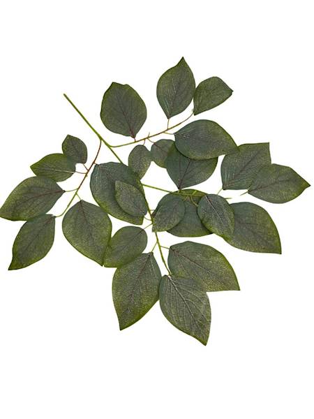 Liść omszony 60 cm 