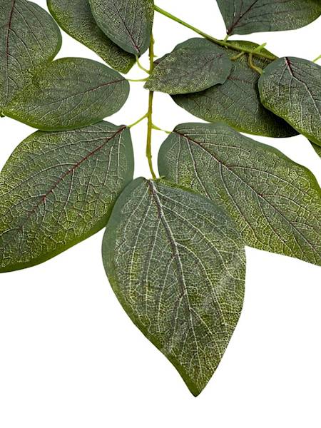 Liść omszony 60 cm 