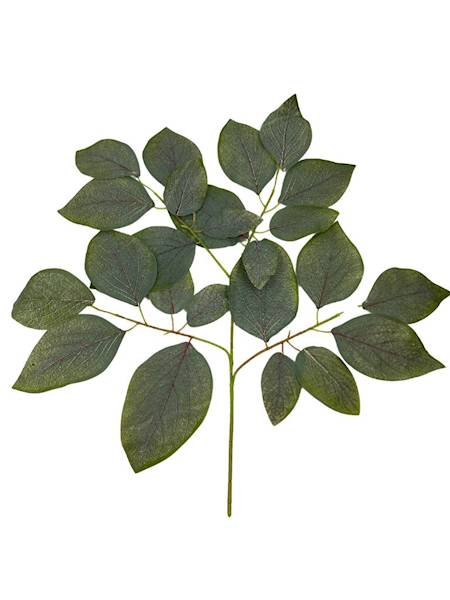 Liść omszony 60 cm 