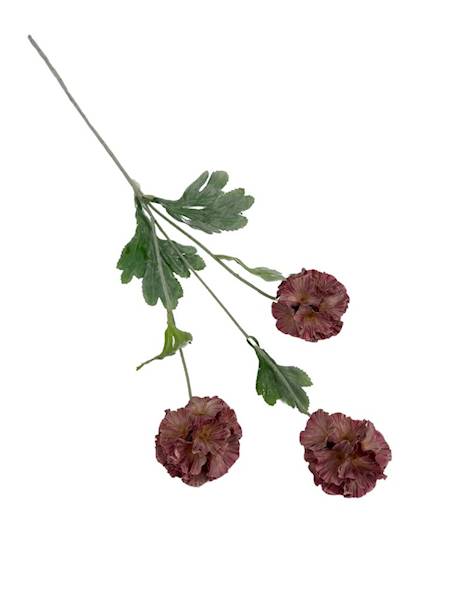 SKABIOZA 3 KWIATY 68 CM BRUDNY RÓŻ