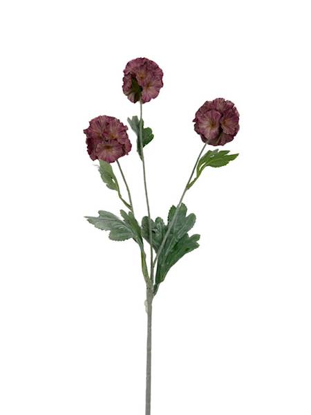 SKABIOZA 3 KWIATY 68 CM BRUDNY RÓŻ