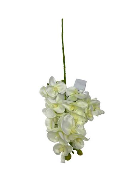 Storczyk gałązka 56 cm biały