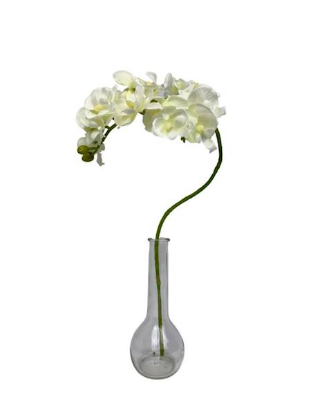 Storczyk gałązka 56 cm biały