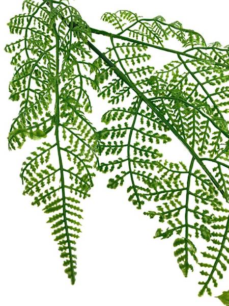 Liść paproci 58 cm zielony