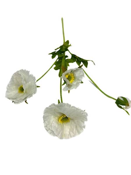 Mak gałązka 59 cm biały
