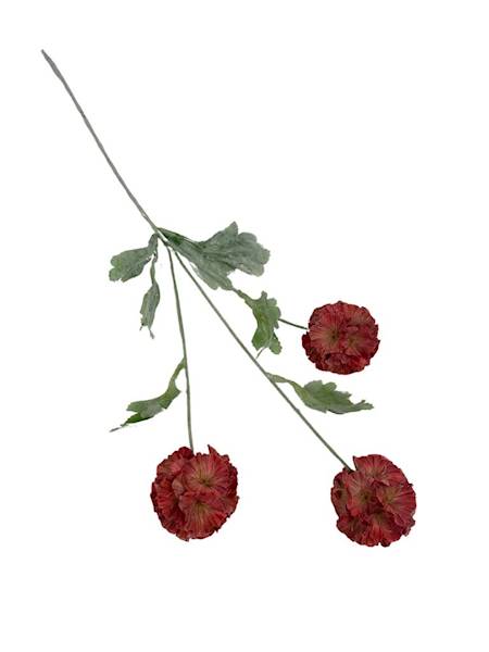 SKABIOZA 3 KWIATY 68 CM JASNO CZERWONA