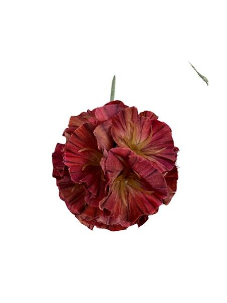 SKABIOZA 3 KWIATY 68 CM JASNO CZERWONA