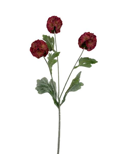 SKABIOZA 3 KWIATY 68 CM JASNO CZERWONA