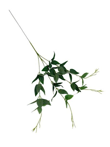 Ruskus gałązka 70 cm zielony omszony