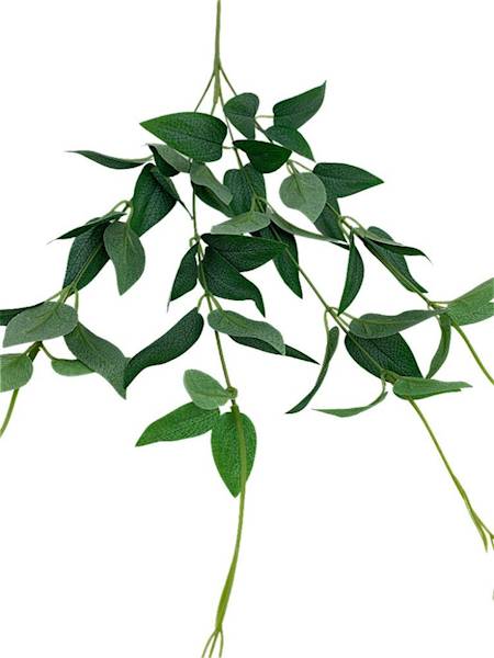 Ruskus gałązka 70 cm zielony omszony