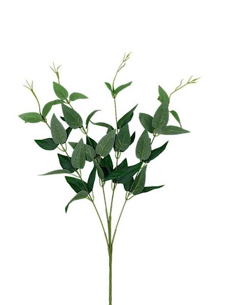 Ruskus gałązka 70 cm zielony omszony