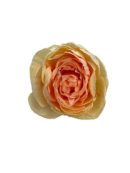 Piwonia główka 8 cm kremowa z jasnym różem