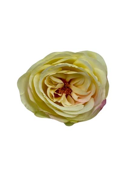 RÓŻA GŁÓWKA 7 CM WANILIOWA