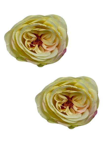 Róża główka 7 cm wanilia 2 SZTUKI