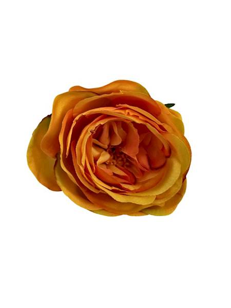 RÓŻA GŁÓWKA 7 CM HERBACIANA