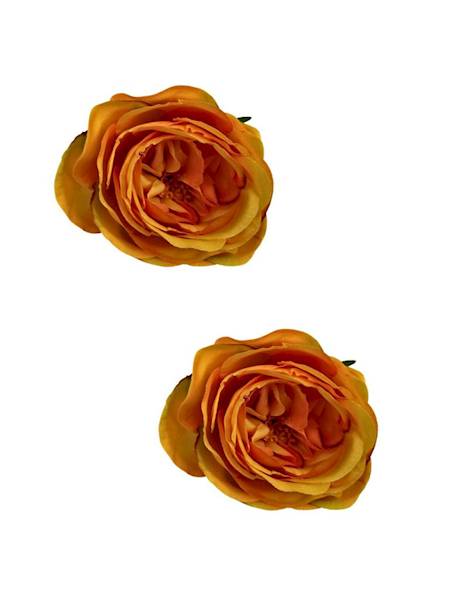 Róża główka 7 cm herbaciana 2 SZTUKI