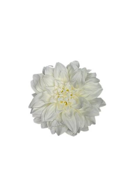 Dalia główka 15 cm kremowa