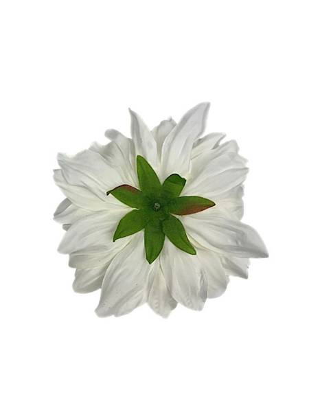 Dalia główka 15 cm kremowa